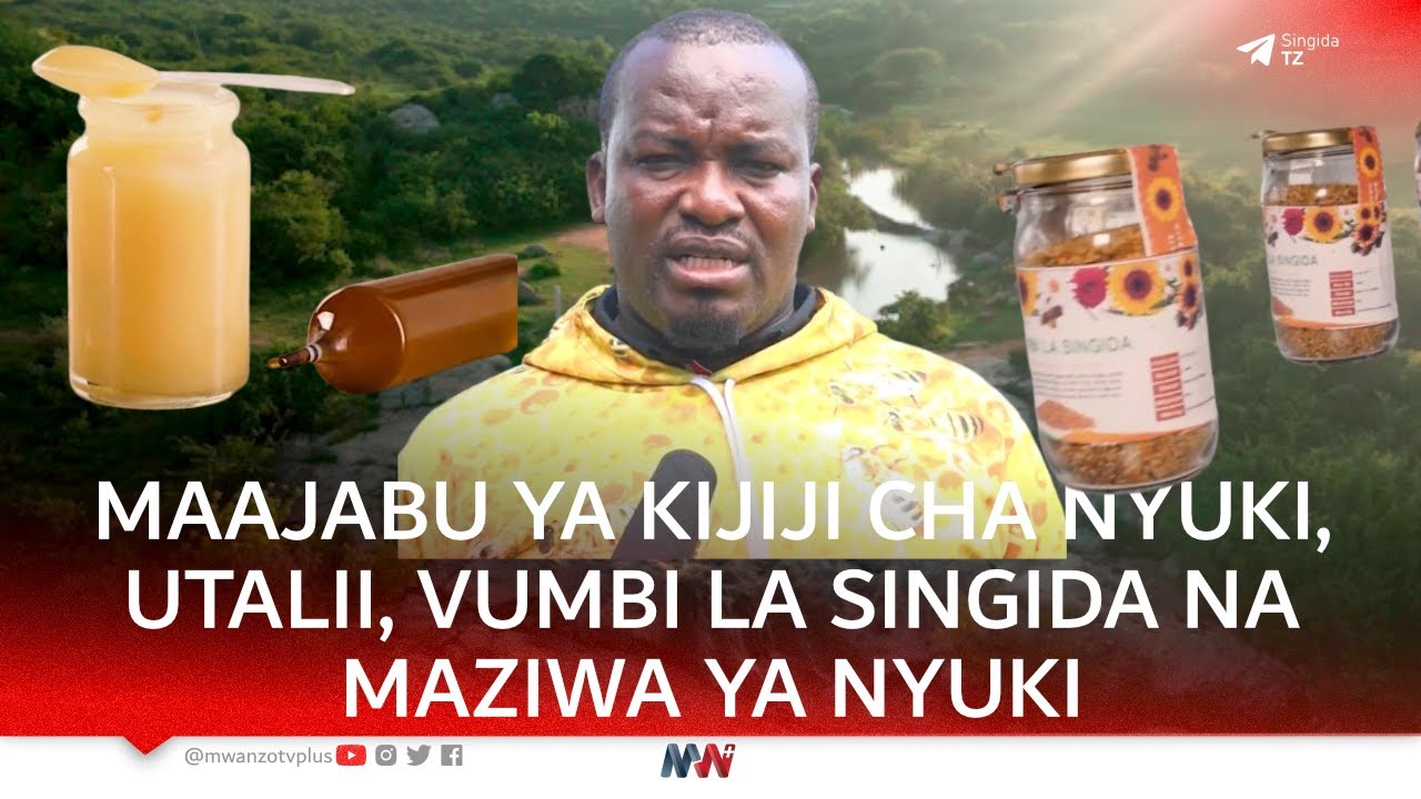 BALAA LA KIJIJI CHA NYUKI, UTALII NA MAAJABU, HEKALI 5000 ZOTE AZIZUNGUSHIA UKUTA, VUMBI LA SINGIDA