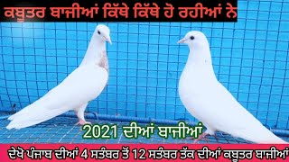 ਪੰਜਾਬ ਚ ਸਤੰਬਰ ਮਹੀਨੇ ਚ ਹੋਣ ਜਾ ਰਹੀਆਂ ਕਬੂਤਰ ਬਾਜੀਆਂ ।। #kabutarbaji #birdloverpunjab