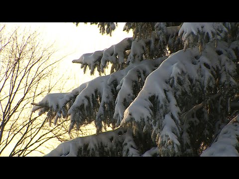 Video: Er snø ren hvit?