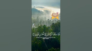 #بسم_الله_الرحمن_الرحيم #سورة_التين #قرآن #اكسبلور #دويتو #لايك #ترند