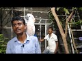 Bird Farm Saving Plan From Up Comming Violent Storm Yash  / Pointed Sharp Nail Cutting Of Birds.