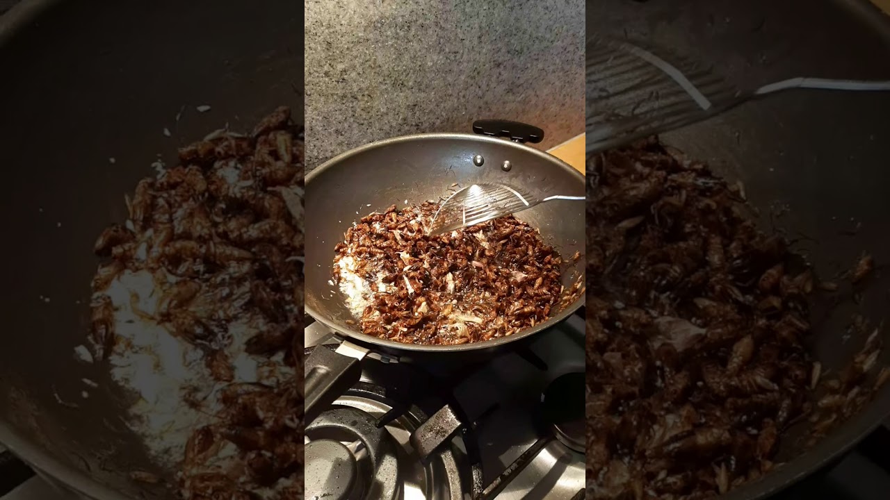 Gebratene steppengrillen mit Knoblauch