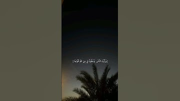 ||سوره النصر||قرآن ||اجر لي ولكم||اكتب شي تؤجر عليه🤍🕊