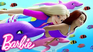 barbie s underwater animal adventures compilation
