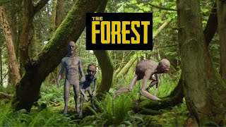 CANNIBALS EVERYWHERE | The Forest