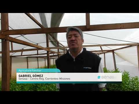 Agricultura familiar en Misiones