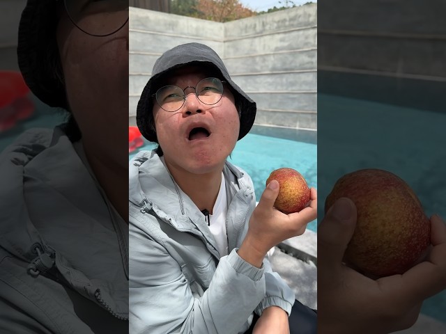 해야
