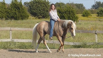 A Lil Expensive - riding bareback! - ValleyViewRanch.net