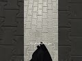 #عزي ودلالي وبيض الليالي....... 😞🥀
