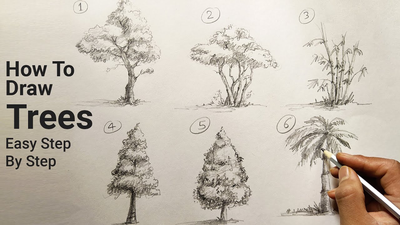 Nature, draw + outline TREES