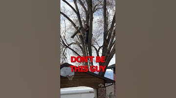 Don