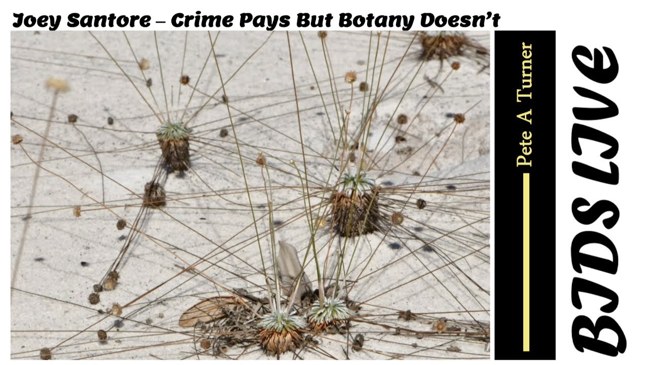 Joey Santore – Crime Pays But Botany Doesn’t - YouTube