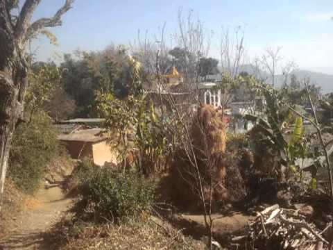 Kumaoni song tu tu kila tadpuchi   Hit kumaoni songs