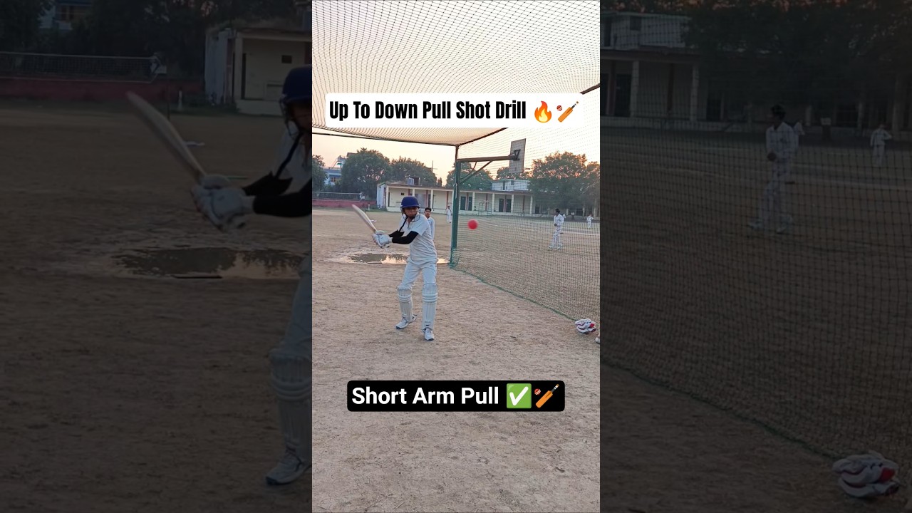 Short Arm Pull🏏Up To Down Pull Shot Drill