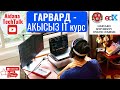 ГАРВАРД - АКЫСЫЗ IT КУРСТАР | Web Programming with Python & JS