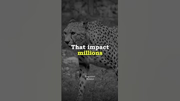 Focus on solving problems... #motivation #nevergiveup #quotes #life #mindset #motivationalvideo