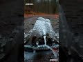 Frog Jumps in a Puddle… It Becomes an Ocean 🐸🌊 (Brainrot Meme)