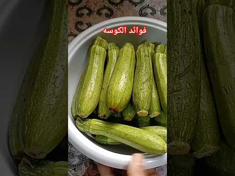 فوائد الكوسة لمرضي السكري ومرضية القلب وتحسين وظائف الجهاز الهضمي