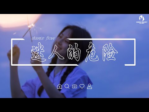 dance flow - 迷人的危险【为什麼最迷人的最危险 为什麼爱会让人变残缺】【動態歌詞 | Pinyin Lyrics】