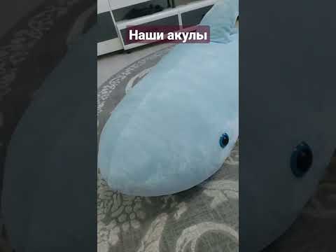Акула 200 см и 60 см