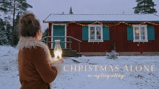 Christmas Alone with my Cats in my Tiny Cottage