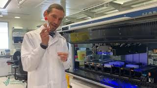 Sidra Medicine Research Develops New Method for COVID-19 Testing