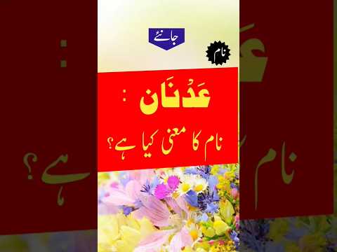 Adnan Name Meaning In Urdu Adnan Youtube Shorts Shots