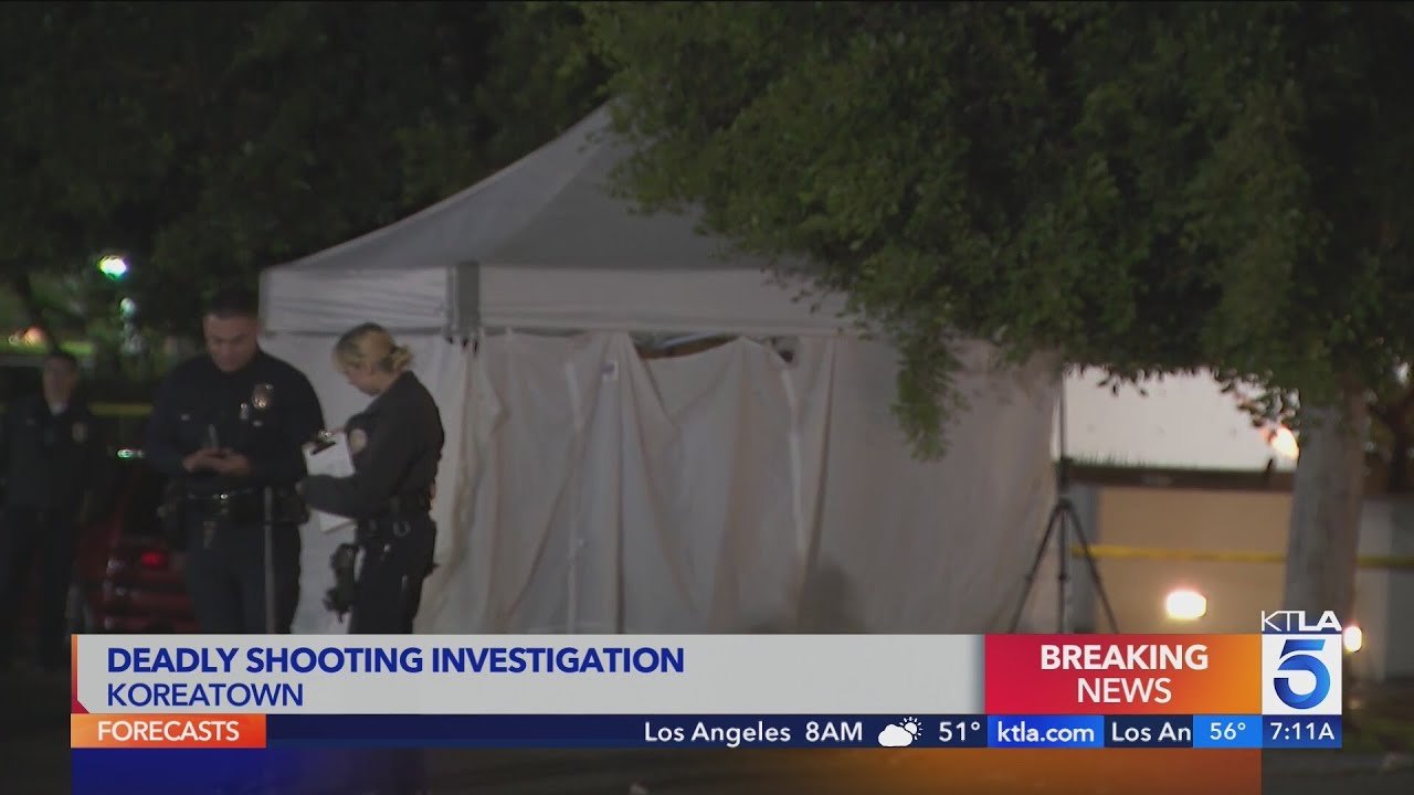 Police investigate pair of deadly Los Angeles neighborhood shootings ...