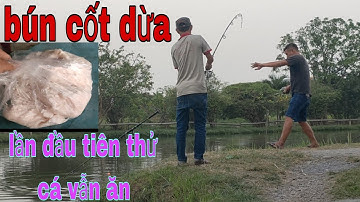 lần đầu tiên test thử bún cốt dừa cá tra vẫn ăn@CuongFising