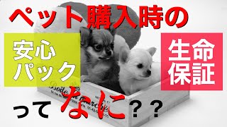 ペット購入時の生命保証や安心パックは必要なの？