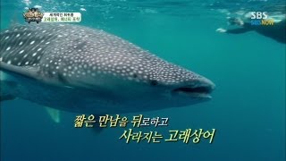 SBS [Law of the Jungle] - In the mysterious sea.. Only the essence