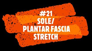 21. Sole/ Plantar Fascia