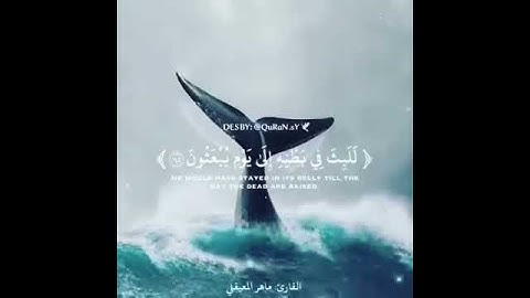 تلاوة خاشعة يونس