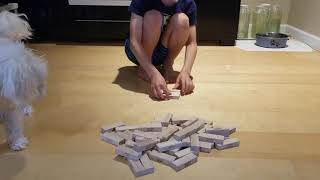 How to set up jenga -