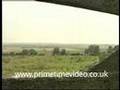 Fenland farming 1955 dvd