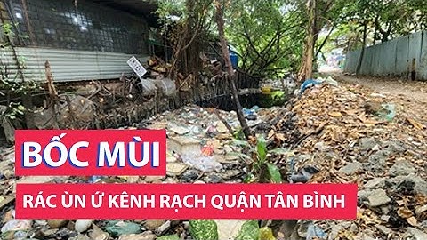 Rác dồn ứ, bốc mùi trên kênh rạch ở quận Bình Tân