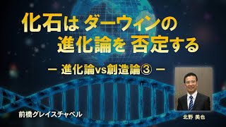 化石はダーウィンの進化論を否定する～進化論vs創造論③～北野美也