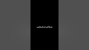 دقيقة من القرآن الكريم بصوت الشيخ ياسر الديب سورة الانعام #قرآن #religion #قرآن_كريم #قران #explore