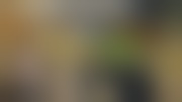 They all fell in the pit! The pit! - Bridge Constructor Medieval Part 2 + Ending | Stream Archives