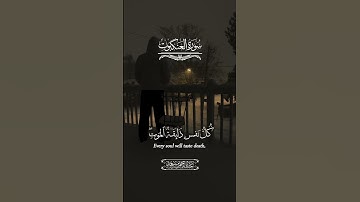 سورة العنكبوت| للقارئ عبدالرحمن مسعد #quran #قرآن #quotes