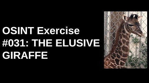 OSINT Exercise #31 Walkthrough