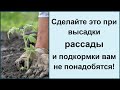 Что класть в лунку при посадке томатов, перца в открытом грунте! Часть 1