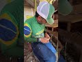 8 de junho de 2026