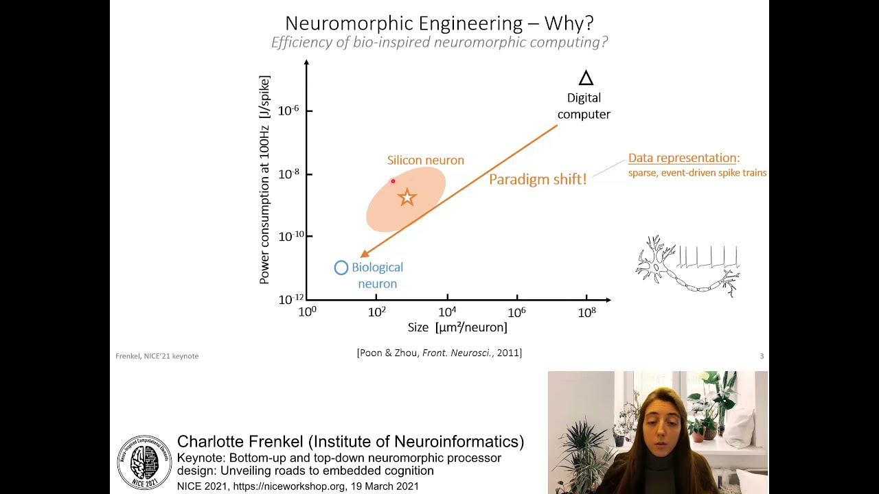 Bottum-up and top-down neuromorphic processor design | Charlotte Frenkel | 2021