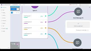 Botgage Training 50 ：How to use split testing in Bot Flow Net Worth