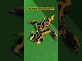 SUPER CRAZY BUMBLEBEE TRANSFORMERS by @redisred4922  Roblox Build a Boat! #roblox Mech #bumblebee