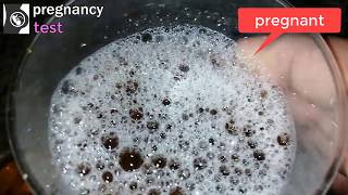 vinegar pregnancy test positive and negative | vinegar pregnancy test positive vs negative