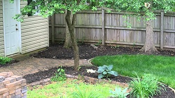 Squirrel on catnip??