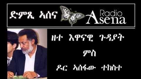 Voice of Assenna: Interview with Dr Asefaw Tekeste Re Current Affairs