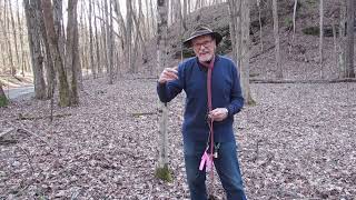 Advanced Dowsing TechniqueLearning to Listen To Your Dowsing Rods HD 1080p